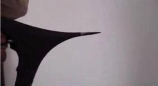 建筑建材領域技術轉讓與開發 引氣劑、外墻彈性膩子粉、水泥脫模劑應用前景